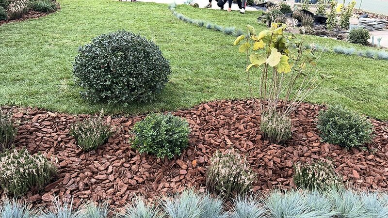 Hiris Garden Expert - Pepiniera, amenajari peisagistice