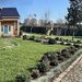 Hiris Garden Expert - Pepiniera, amenajari peisagistice
